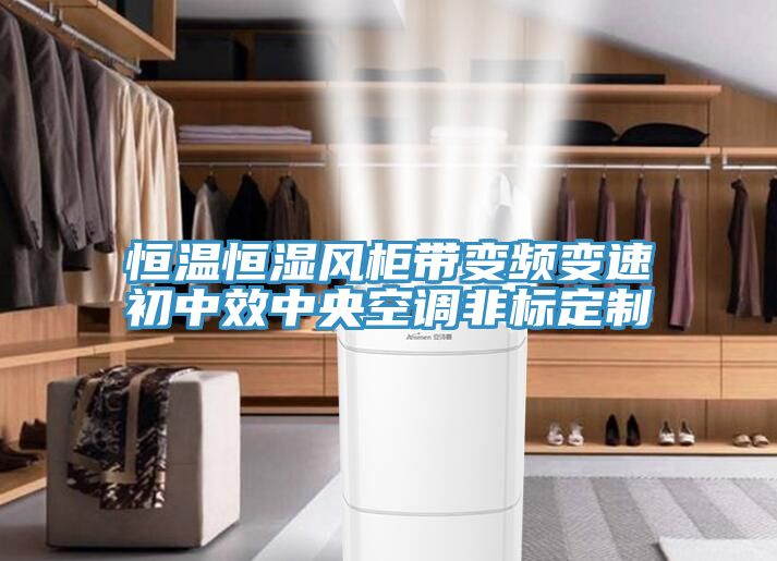 恒溫恒濕風(fēng)柜帶變頻變速初中效中央空調(diào)非標(biāo)定制