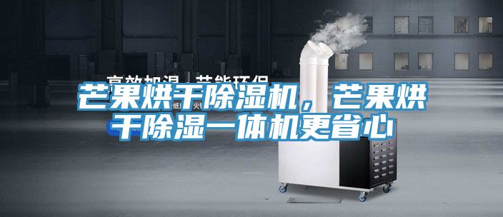 芒果烘干除濕機(jī)，芒果烘干除濕一體機(jī)更省心