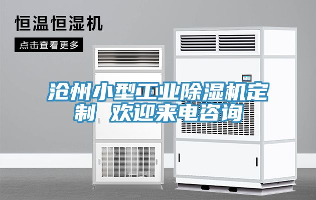 滄州小型工業(yè)除濕機(jī)定制 歡迎來電咨詢