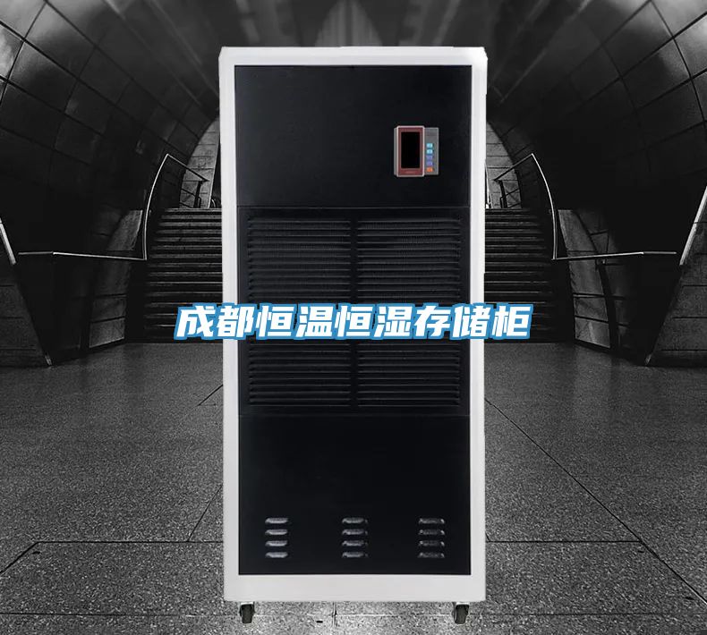 成都恒溫恒濕存儲(chǔ)柜