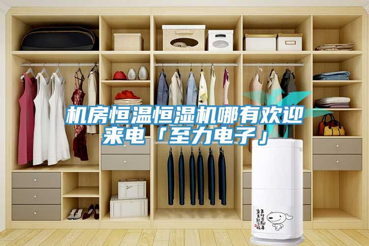 機(jī)房恒溫恒濕機(jī)哪有歡迎來(lái)電「至力電子」