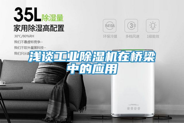 淺談工業(yè)除濕機(jī)在橋梁中的應(yīng)用