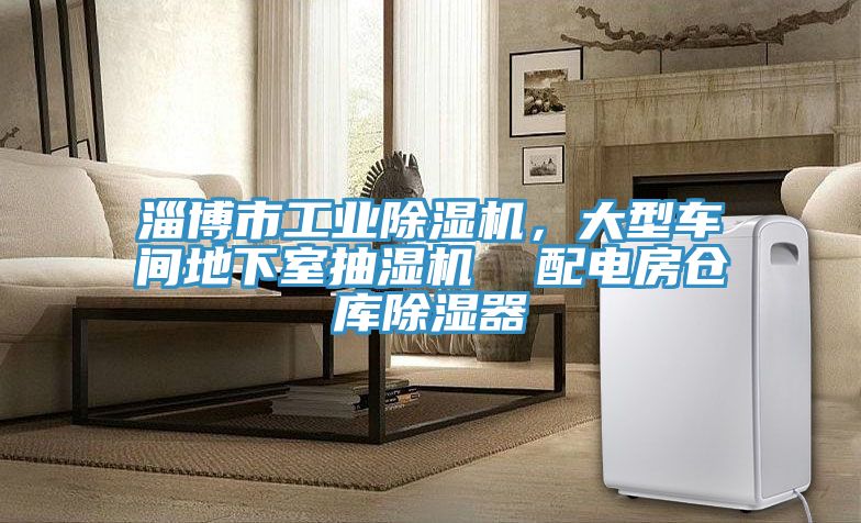 淄博市工業(yè)除濕機，大型車間地下室抽濕機  配電房倉庫除濕器