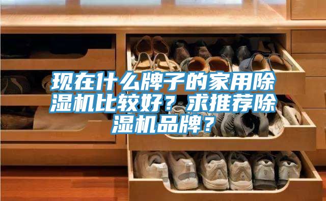 現(xiàn)在什么牌子的家用除濕機(jī)比較好？求推薦除濕機(jī)品牌？
