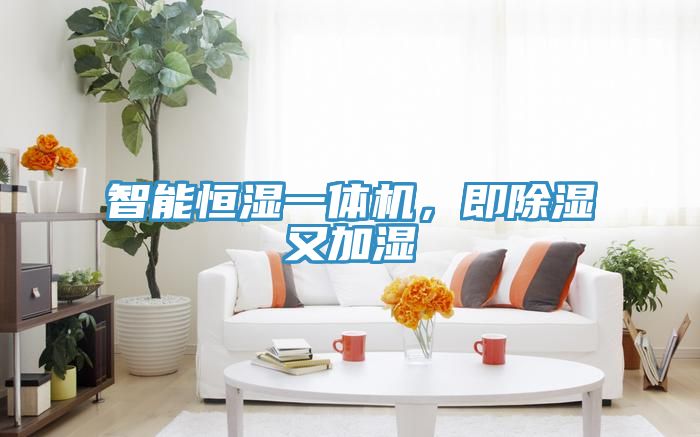 智能恒濕一體機，即除濕又加濕