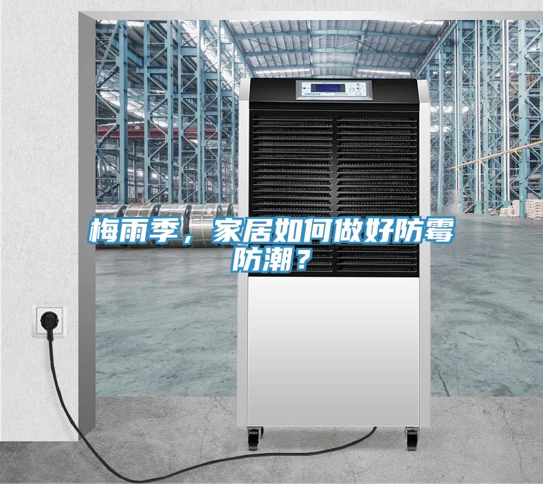 梅雨季，家居如何做好防霉防潮？