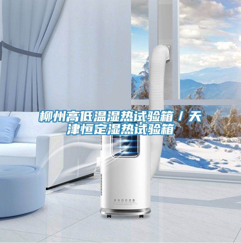 柳州高低溫濕熱試驗(yàn)箱／天津恒定濕熱試驗(yàn)箱