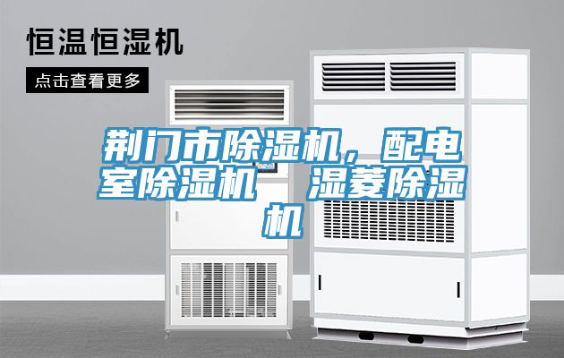 荊門市除濕機(jī)，配電室除濕機(jī)  濕菱除濕機(jī)