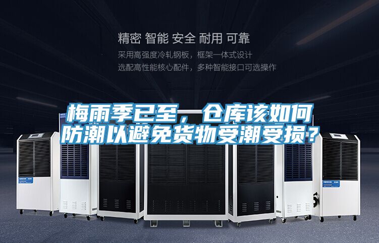 梅雨季已至，倉(cāng)庫(kù)該如何防潮以避免貨物受潮受損？