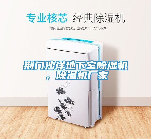 荊門(mén)沙洋地下室除濕機(jī)，除濕機(jī)廠(chǎng)家