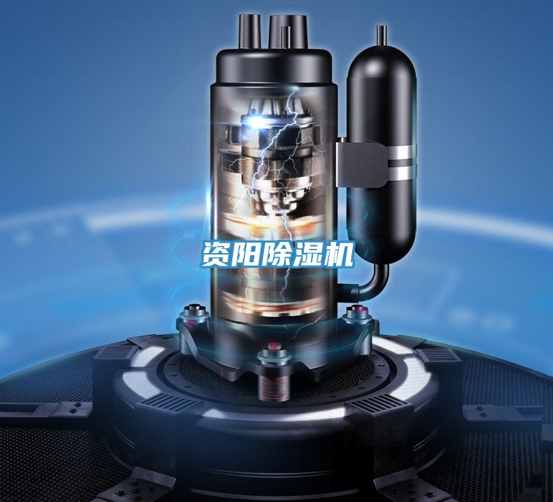 資陽(yáng)除濕機(jī)