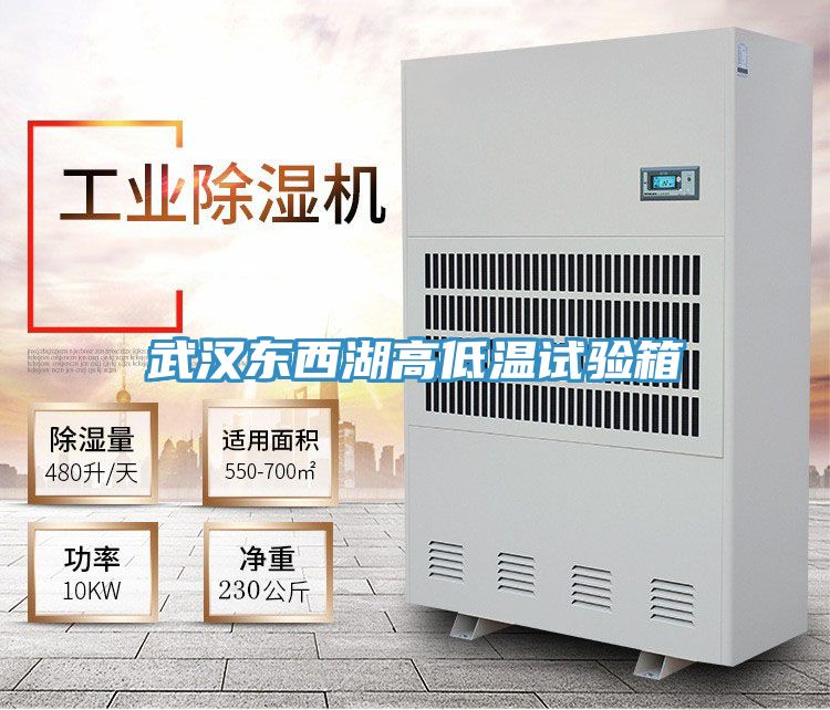 武漢東西湖高低溫試驗(yàn)箱