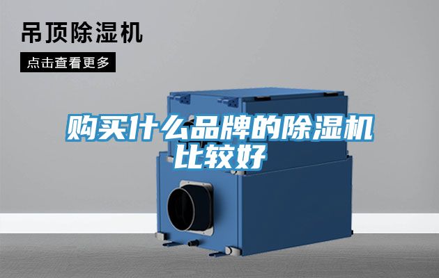 購買什么品牌的除濕機(jī)比較好