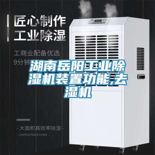 湖南岳陽工業(yè)除濕機裝置功能,去濕機