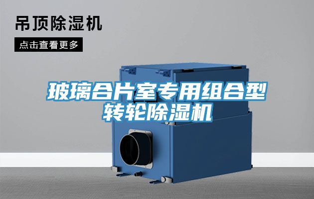 玻璃合片室專用組合型轉(zhuǎn)輪除濕機