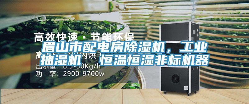 眉山市配電房除濕機，工業(yè)抽濕機  恒溫恒濕非標(biāo)機器