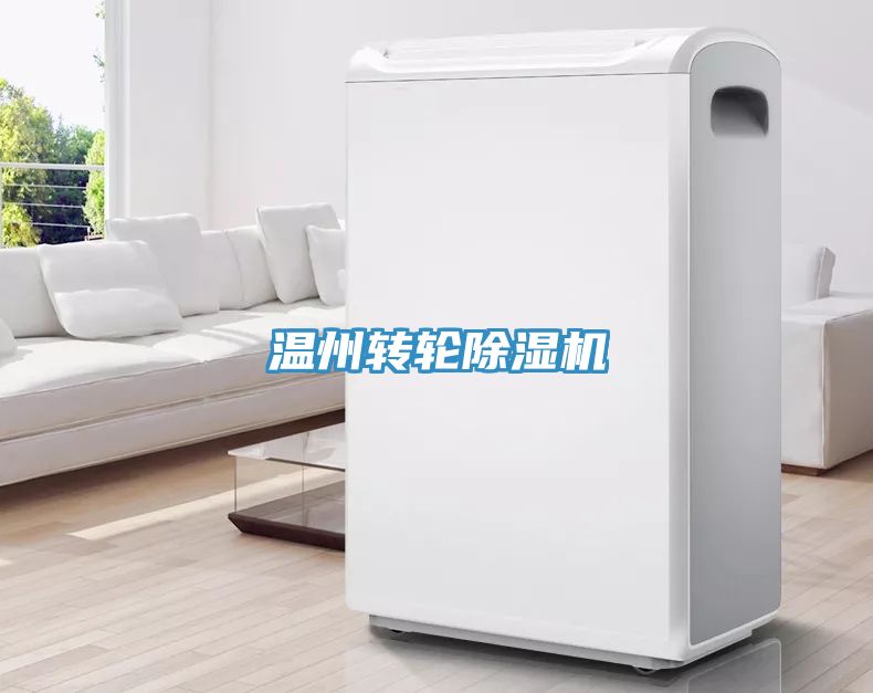 溫州轉輪除濕機