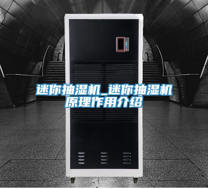 迷你抽濕機(jī)_迷你抽濕機(jī)原理作用介紹