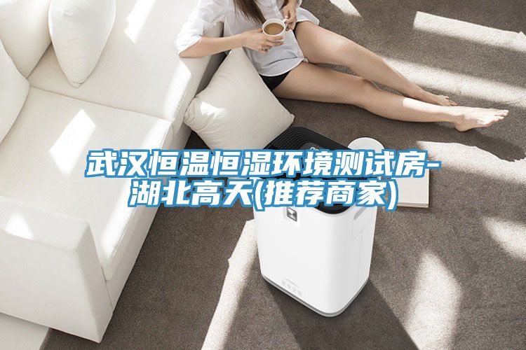 武漢恒溫恒濕環(huán)境測(cè)試房-湖北高天(推薦商家)