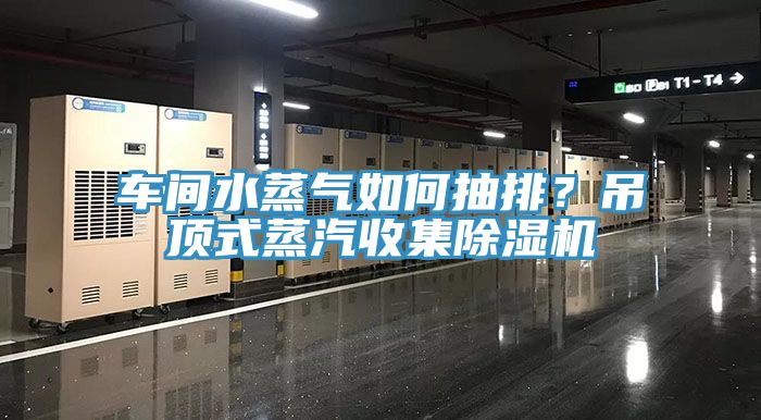 車間水蒸氣如何抽排？吊頂式蒸汽收集除濕機(jī)