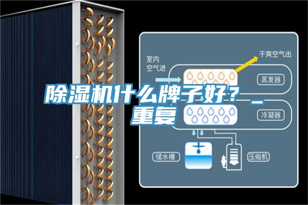 除濕機(jī)什么牌子好？_重復(fù)