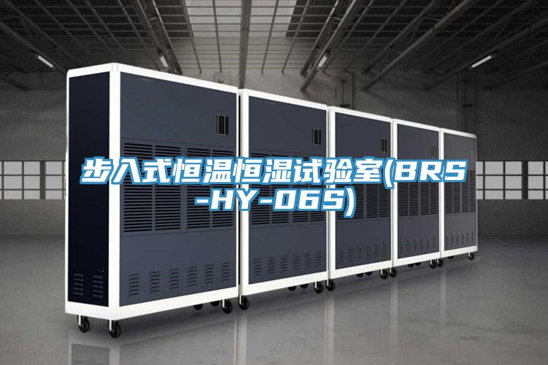 步入式恒溫恒濕試驗(yàn)室(BRS-HY-06S)