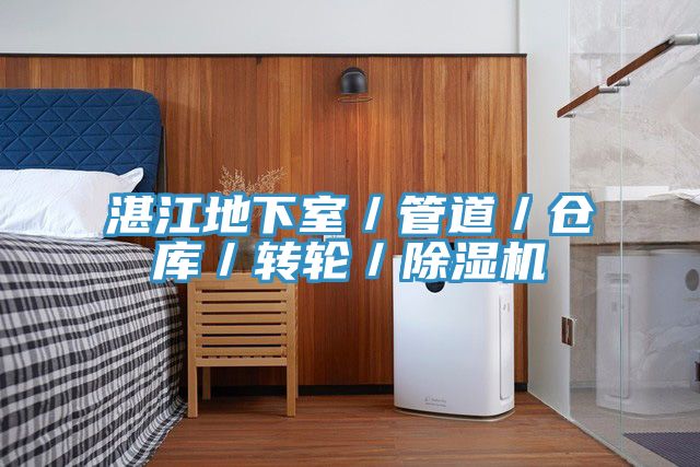 湛江地下室／管道／倉庫／轉(zhuǎn)輪／除濕機(jī)