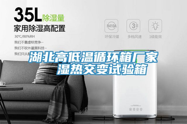 湖北高低溫循環(huán)箱廠家  濕熱交變?cè)囼?yàn)箱