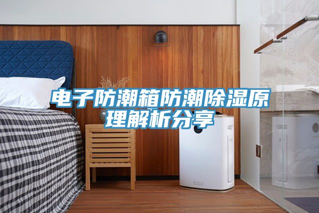 電子防潮箱防潮除濕原理解析分享