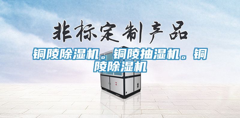 銅陵除濕機。銅陵抽濕機。銅陵除濕機