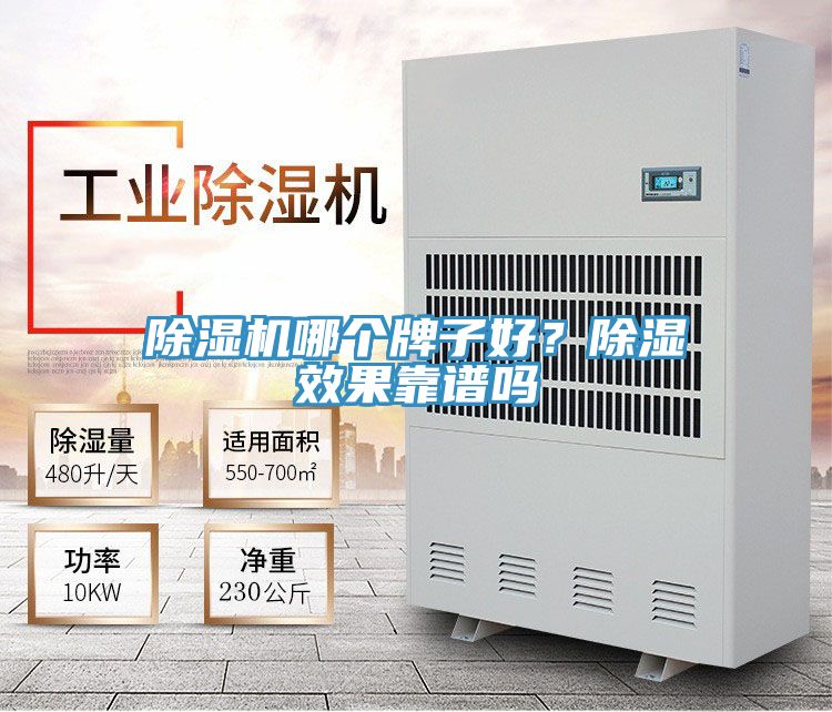 除濕機(jī)哪個(gè)牌子好？除濕效果靠譜嗎