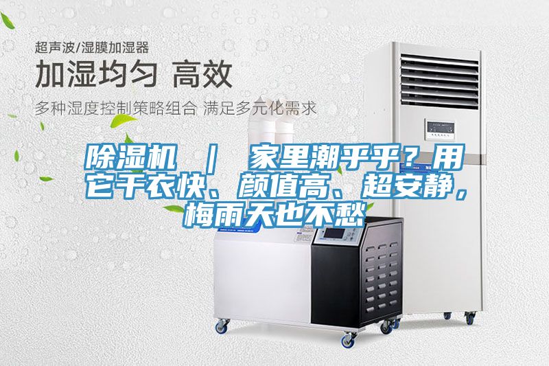 除濕機(jī) ｜ 家里潮乎乎？用它干衣快、顏值高、超安靜，梅雨天也不愁