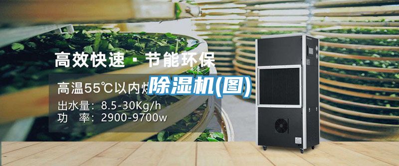 除濕機(jī)(圖)
