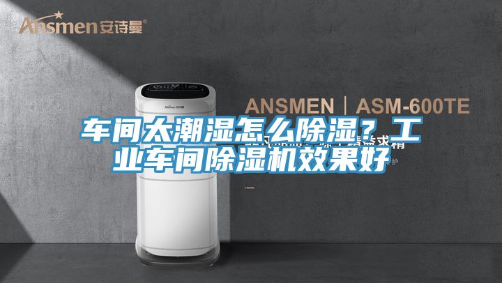 車間太潮濕怎么除濕？工業(yè)車間除濕機(jī)效果好