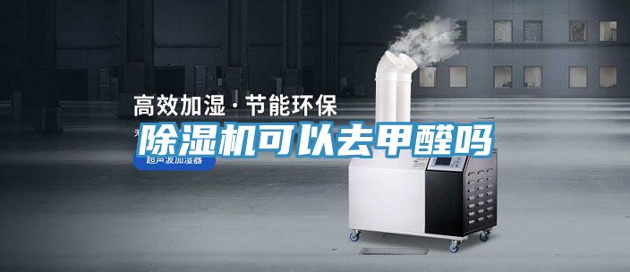 除濕機(jī)可以去甲醛嗎