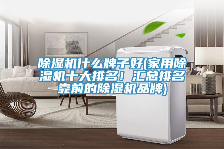 除濕機什么牌子好(家用除濕機十大排名！匯總排名靠前的除濕機品牌)