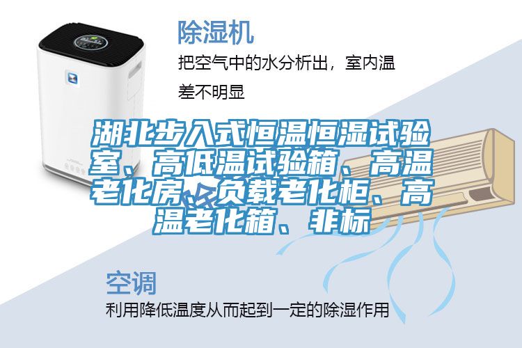 湖北步入式恒溫恒濕試驗(yàn)室、高低溫試驗(yàn)箱、高溫老化房、負(fù)載老化柜、高溫老化箱、非標(biāo)