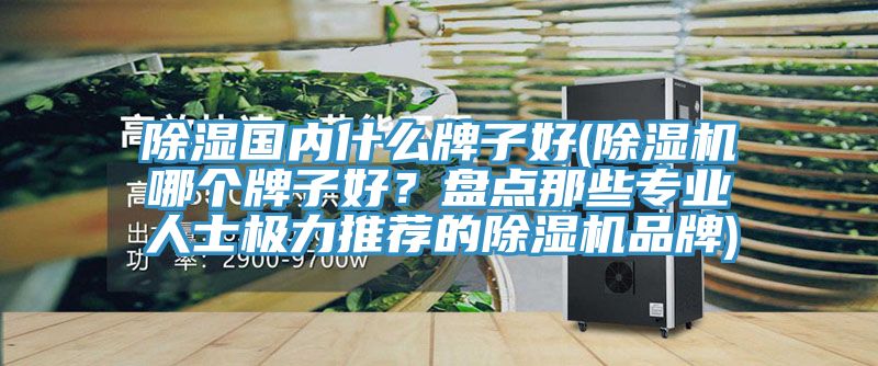 除濕國(guó)內(nèi)什么牌子好(除濕機(jī)哪個(gè)牌子好？盤(pán)點(diǎn)那些專業(yè)人士極力推薦的除濕機(jī)品牌)