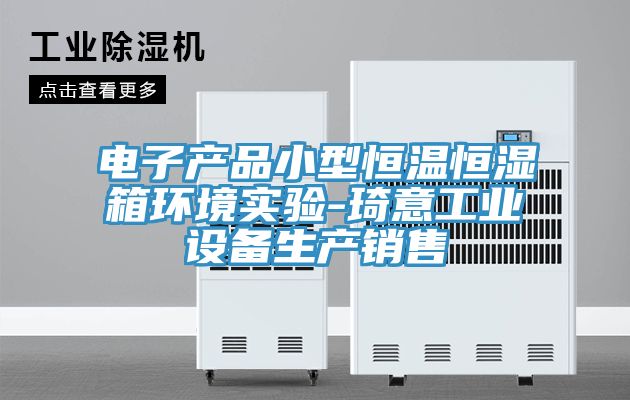 電子產(chǎn)品小型恒溫恒濕箱環(huán)境實驗-琦意工業(yè)設(shè)備生產(chǎn)銷售