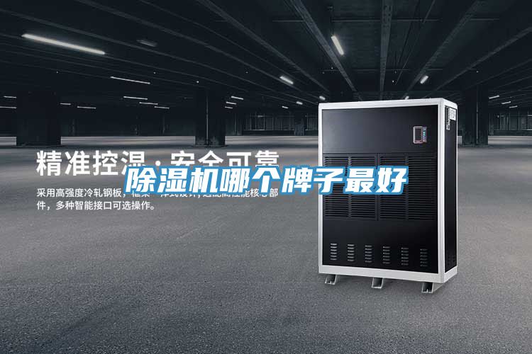 除濕機(jī)哪個(gè)牌子最好