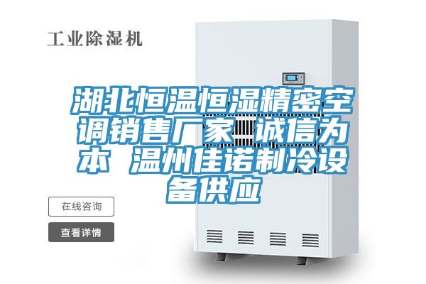 湖北恒溫恒濕精密空調(diào)銷售廠家 誠(chéng)信為本 溫州佳諾制冷設(shè)備供應(yīng)
