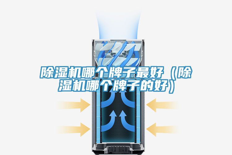 除濕機(jī)哪個(gè)牌子最好（除濕機(jī)哪個(gè)牌子的好）