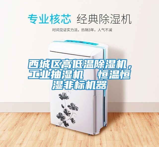 西城區(qū)高低溫除濕機(jī)，工業(yè)抽濕機(jī)  恒溫恒濕非標(biāo)機(jī)器