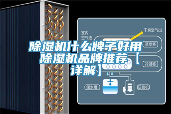 除濕機什么牌子好用 除濕機品牌推薦【詳解】