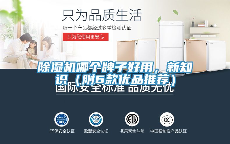 除濕機(jī)哪個牌子好用，新知識（附6款優(yōu)品推薦）
