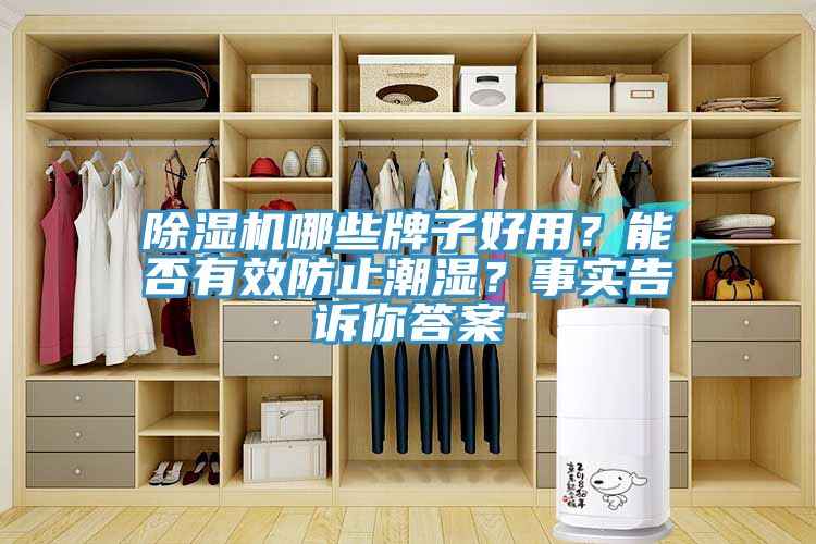 除濕機(jī)哪些牌子好用？能否有效防止潮濕？事實(shí)告訴你答案