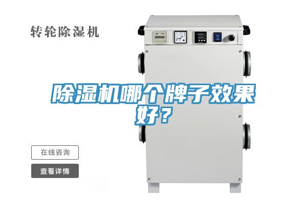 除濕機(jī)哪個(gè)牌子效果好？