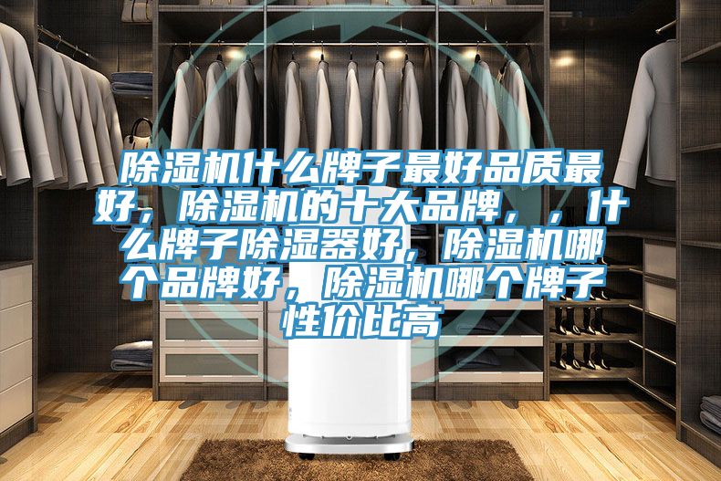 除濕機(jī)什么牌子最好品質(zhì)最好，除濕機(jī)的十大品牌，，什么牌子除濕器好，除濕機(jī)哪個(gè)品牌好，除濕機(jī)哪個(gè)牌子性價(jià)比高