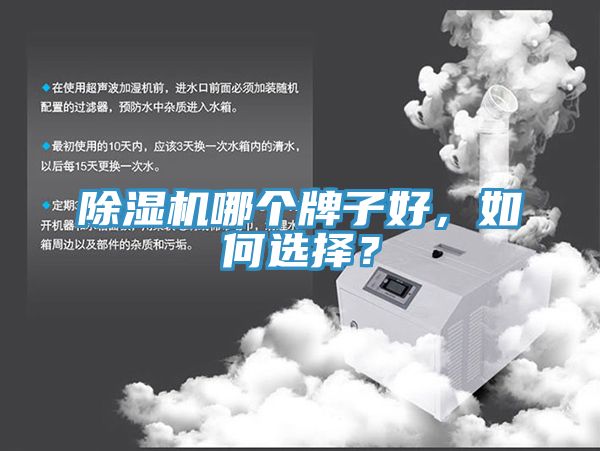 除濕機(jī)哪個(gè)牌子好，如何選擇？