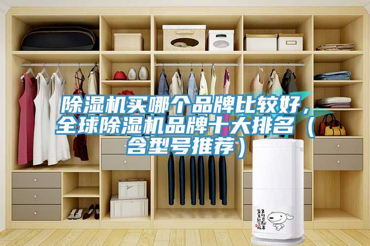 除濕機(jī)買哪個品牌比較好，全球除濕機(jī)品牌十大排名（含型號推薦）